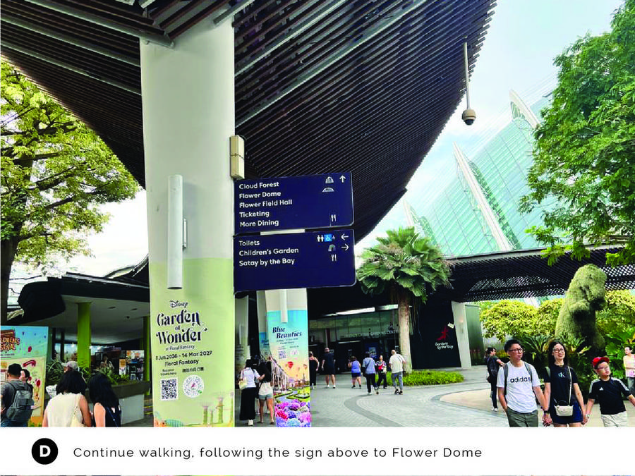 Walking route step D