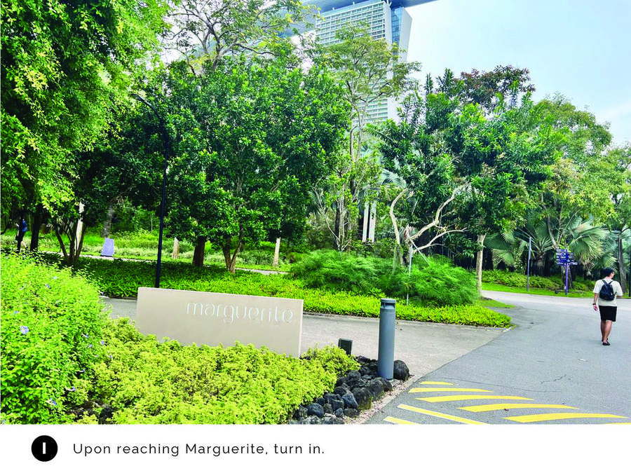Walking route step I