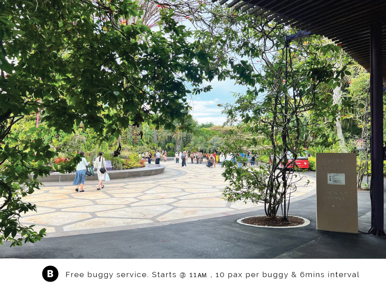 Buggy pickup point - free buggy service